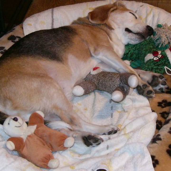 Aad7104a 14ee 4817 8fcf 22ec50ac3f50 1673574051301