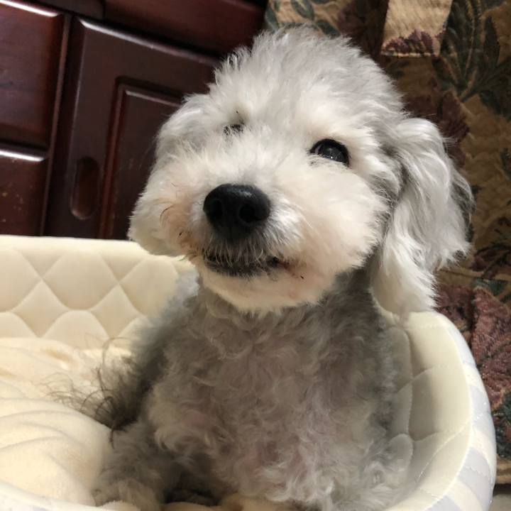 Aad730a7 fe75 4ef2 9ffb 639c79b67a0b 1634859146495