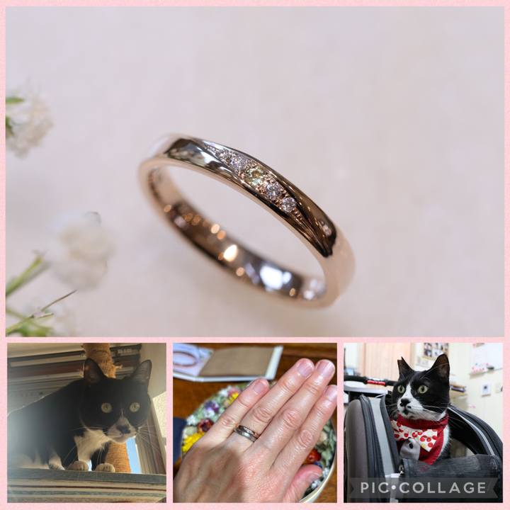 Aad73f79 be2f 44c9 9bff f74187f0fa1e 1762861832451