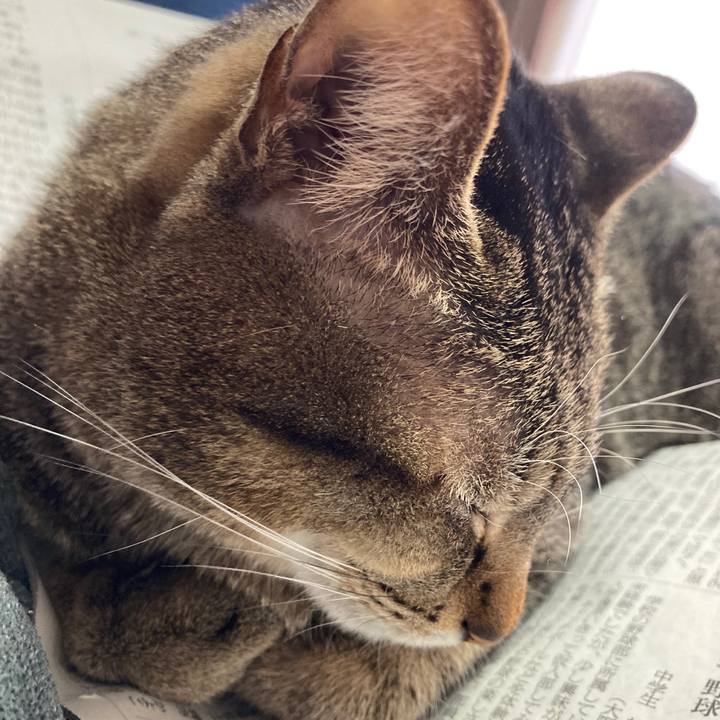 Aad769ad 0506 4b02 b92f ea3525b11173 1767225999182