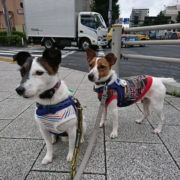 Aad77d9c 5ddd 4cf8 b259 2be9a51fde78 1529107600684