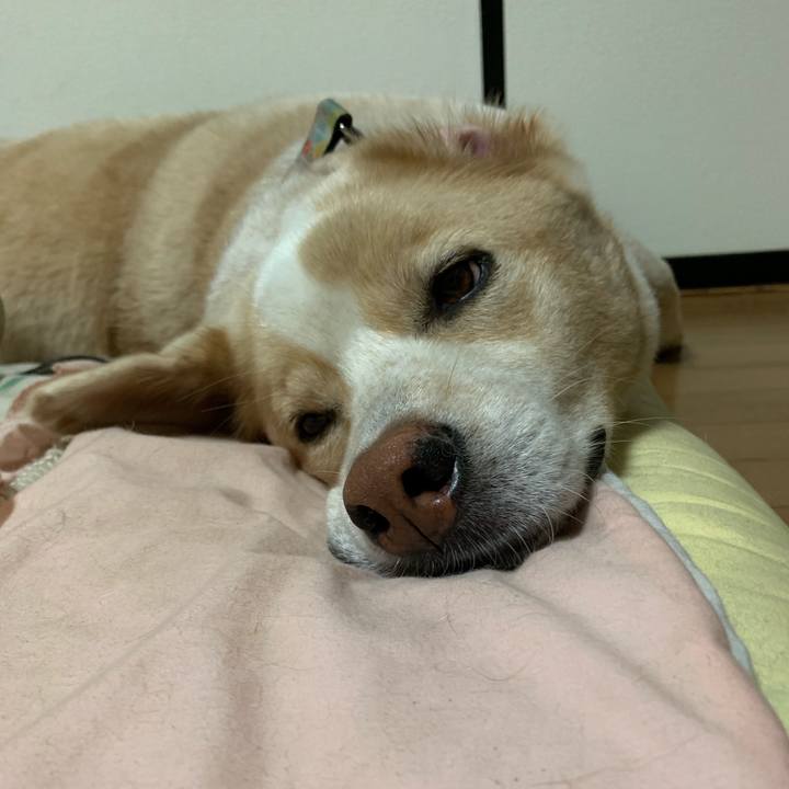 Aad7fdbf fdfe 44fb a8a4 a132dc84aa7f 1570115289854