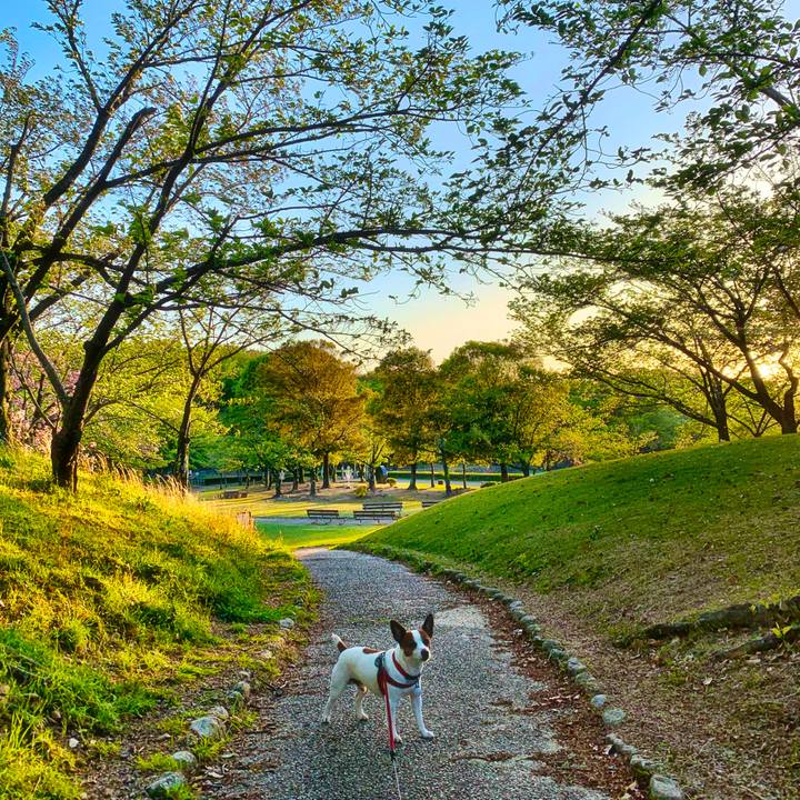 Aad82247 a851 42dd af7c 4de9a7e9c277 1587565378572