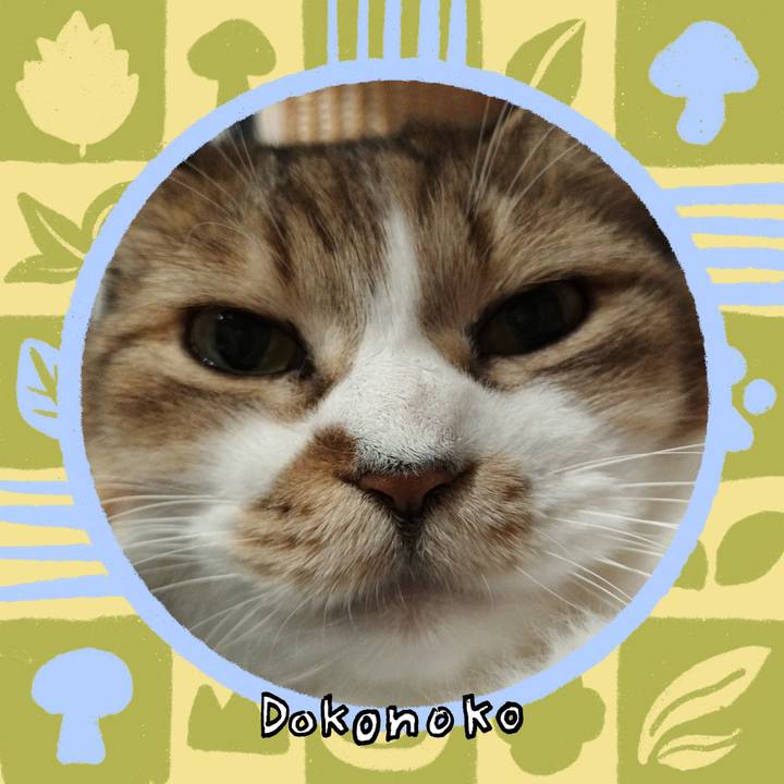 Aad852ca 357d 47b9 84d8 11015123f523 1761225753680