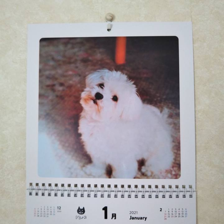 Aad893f2 eba1 4745 8d6c 265912cfcd3b 1610339848707