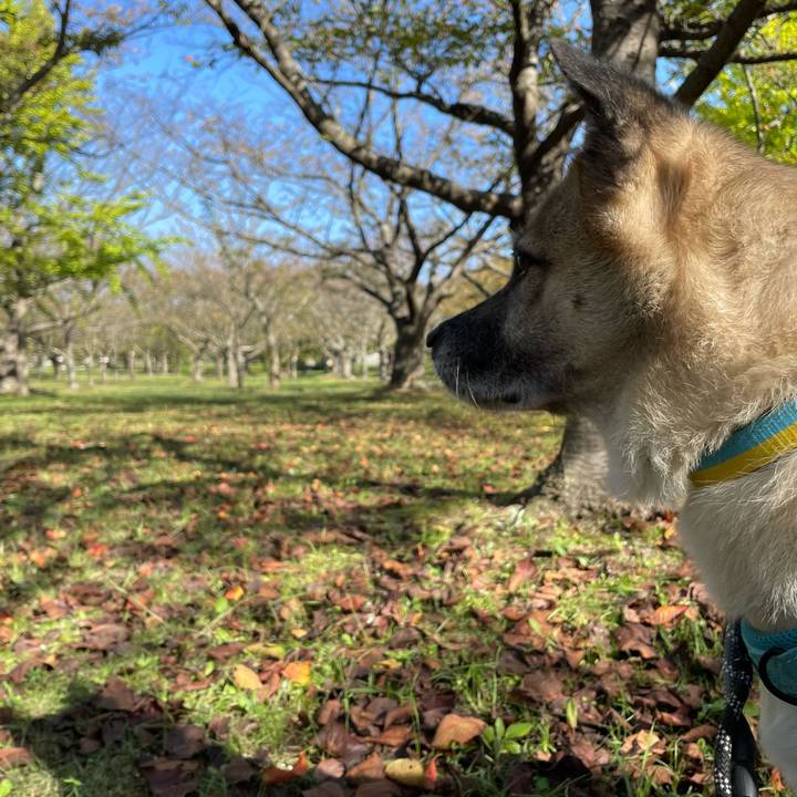 Aad89de4 897b 4332 af9b a2d21e461554 1729427582887