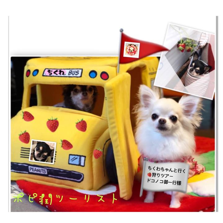 Aad8dc23 bdd7 40cd b79a e6da1f4ed6e4 1539348369126