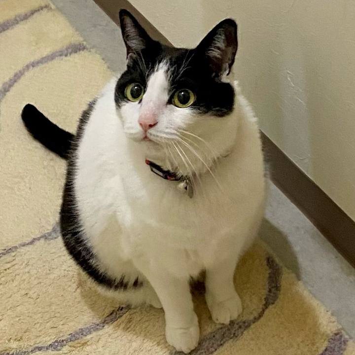 Aad8ed4e d46d 4314 81bb fcb511aac2cd 1736899570968