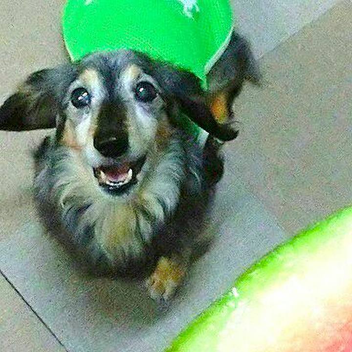 Aad90af8 3a2d 4735 8e7b 748d1af8ab6b 1511827504395