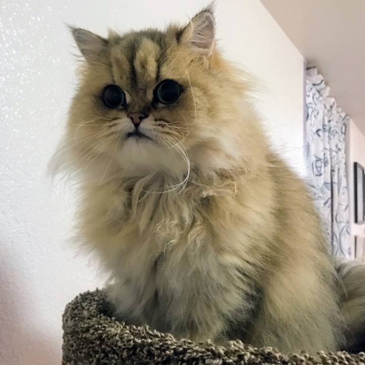 Aad91844 d6f7 40b0 bf0d 16898796ada0 1529398575970