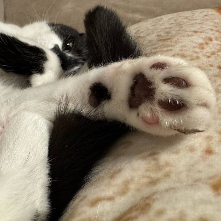 Aad93322 144d 44fb 812d 83b16a095ab9 1769825637350