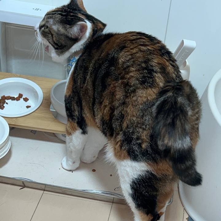 Aad96b5d fa65 4a73 8b00 5f7c0447d953 1769093253018