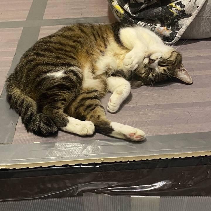 Aad977a9 beea 46f6 8406 c003f5d97cd8 1662228823239