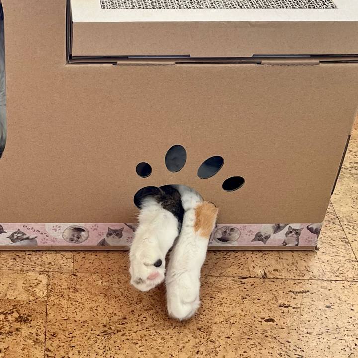 Aad9dbe2 abca 457f b92e 3b5013ebd5ac 1699157223046