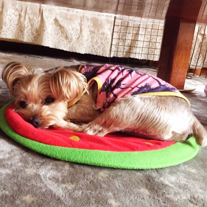 Aad9ee05 2dbb 418f a4f0 b4472b164897 1530967170400