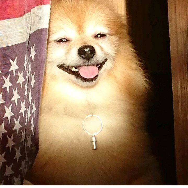 Aada2bb2 6b36 4dc7 8e52 f54ee3624969 1510299665468