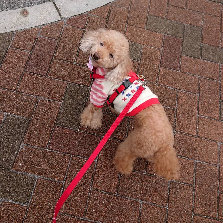 Aada7483 d3fe 43fb ae1a 7f9abcbfb416 1574564866763