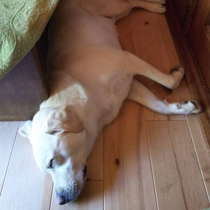 Aada9351 d9fa 4a0e 9f60 598c730ce2fb 1524313034787