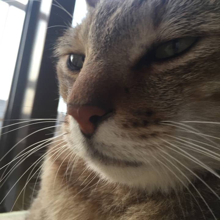 Aadae12f c832 4dcf 8719 4b6e98cc4316 1530562079820