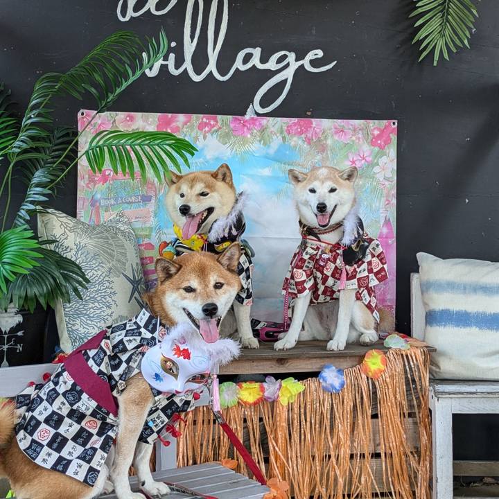 Aadaf582 6ab5 4f79 b74d 3f212216adea 1724559863730