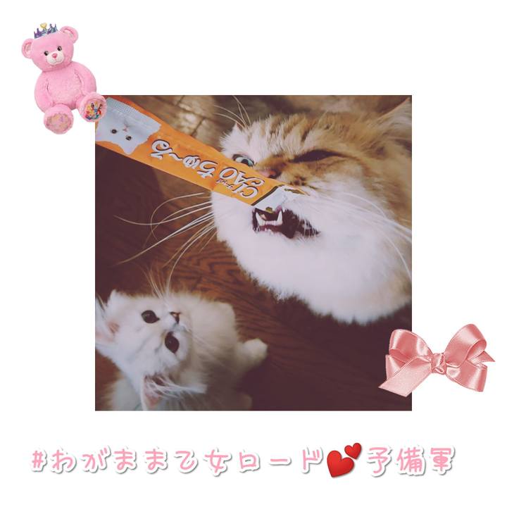 Aadafc5f c1b6 4d85 b0f0 d0b279350076 1568710175263