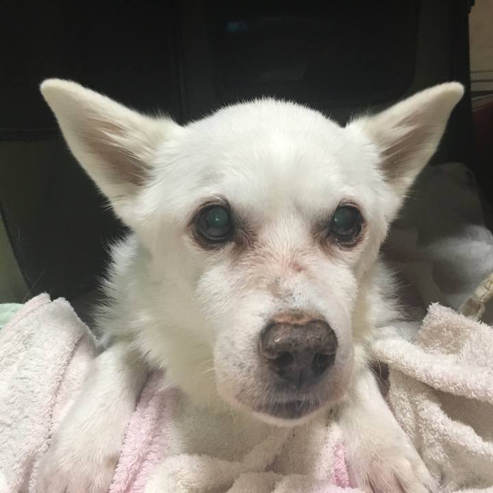 Aadb2f71 b852 4bb4 9ce2 d840c84b6620 1540113585496