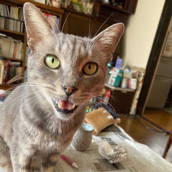 Aadb3140 9f14 466d 8e3e b97382a6c083 1572328964338