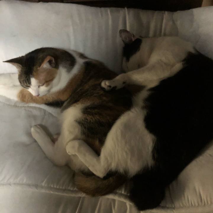 Aadb5baf 6855 4b27 bd3b 4f0eeb132a97 1588349945994