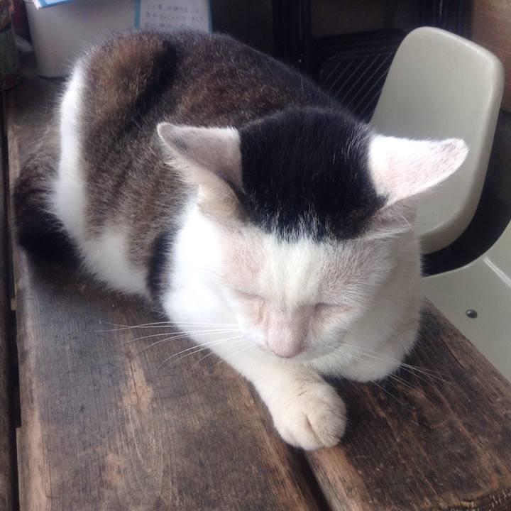 Aadb6049 1c79 4535 8302 8edba7d11514 1533560292918