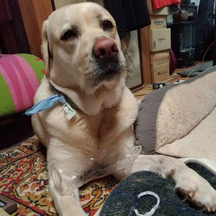 Aadb6a33 7a5e 4bb7 91c5 96948f3f0c70 1582630445468