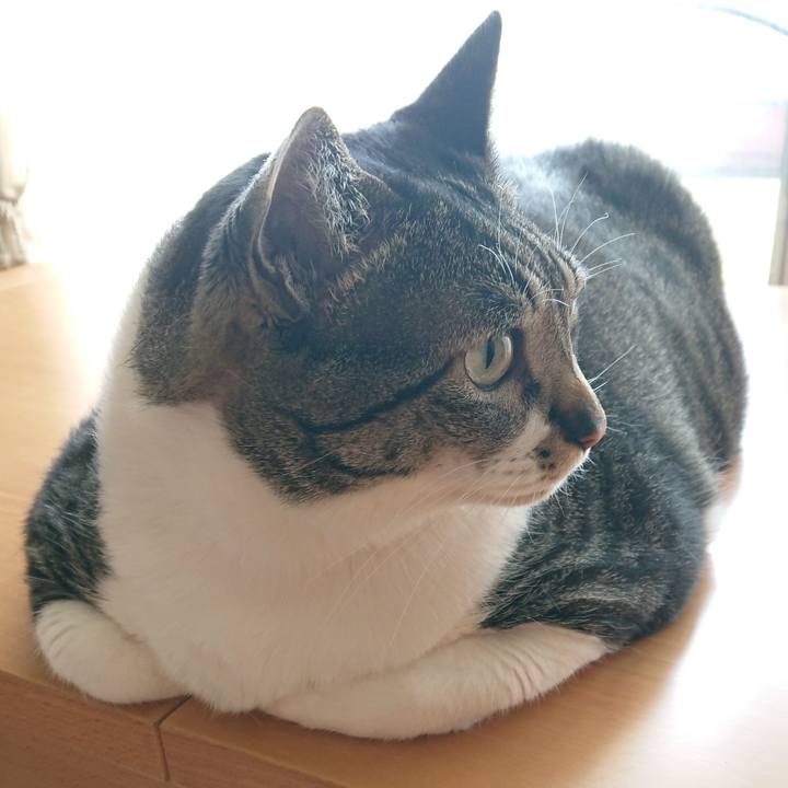 Aadba781 1bce 4a50 8d3d fa798cb55b8e 1524693593034