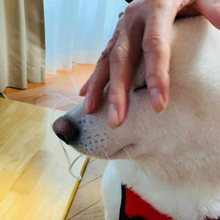 Aadbbe39 ae7f 4708 be9f f3c8ccd8b76c 1611433879516