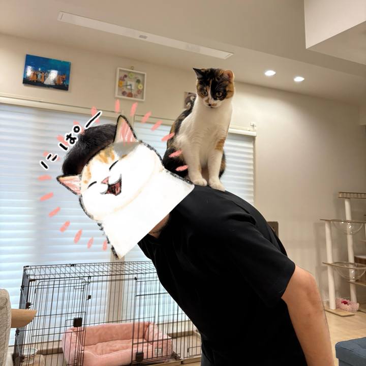 Aadbfb04 86c5 4890 99f3 0f6d05ef6989 1769731609021