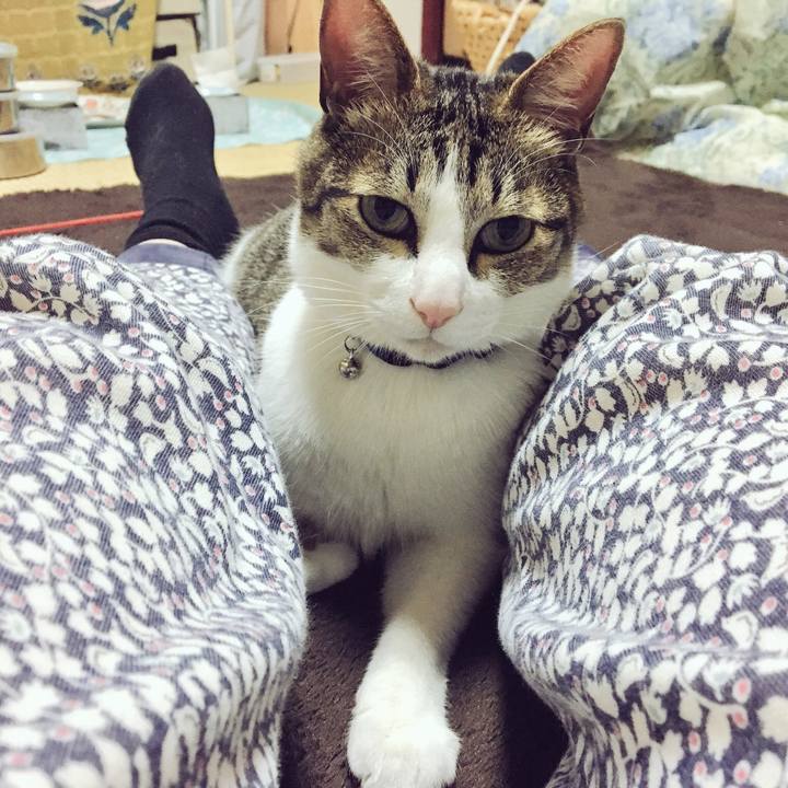 Aadc1e81 e2a3 45b1 9f10 e0a1f6362ed5 1524183039036