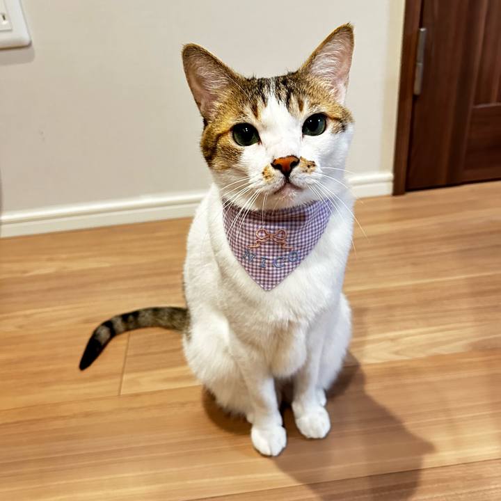 Aadc2112 bbef 4b9d 992d 4438131a5a43 1760520804789