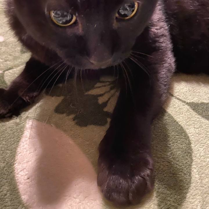 Aadc6cc1 b682 4a69 82f8 091706886278 1603623643007