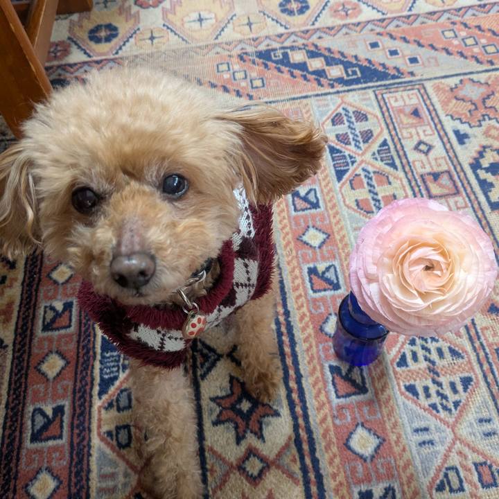 Aadcae68 8061 4664 9384 dcb222790376 1772689563741