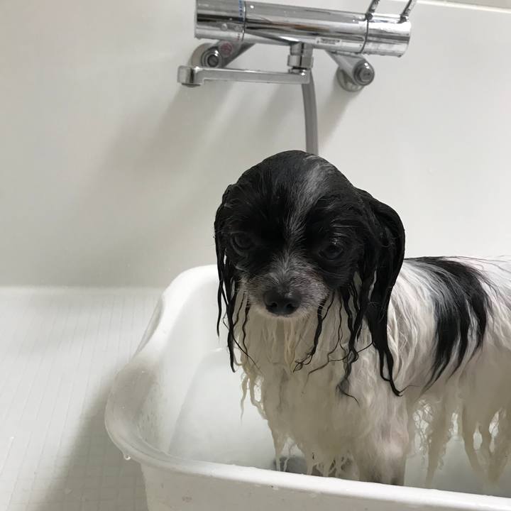 Aadcb3b2 1d4c 4c18 a33b b93ce6e66e89 1531619789314