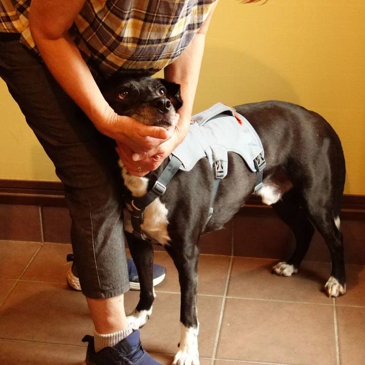 Aadcfb92 67f8 483c 8d11 940745ec1401 1724282801424