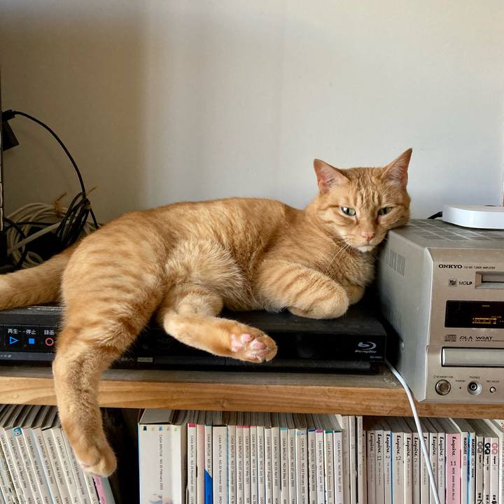 Aadd39da 9b86 43c7 81f3 436fa87b274b 1689490856196