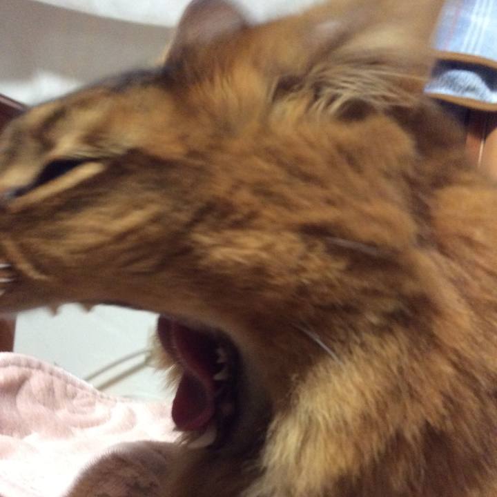 Aadd74ef 4397 496f 8c74 764be310ffbe 1611535023519