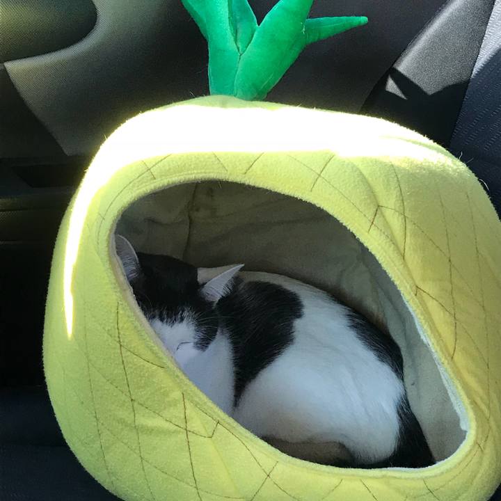 Aadd9588 9037 48f0 9d22 9ba0a7574cf2 1515304215514