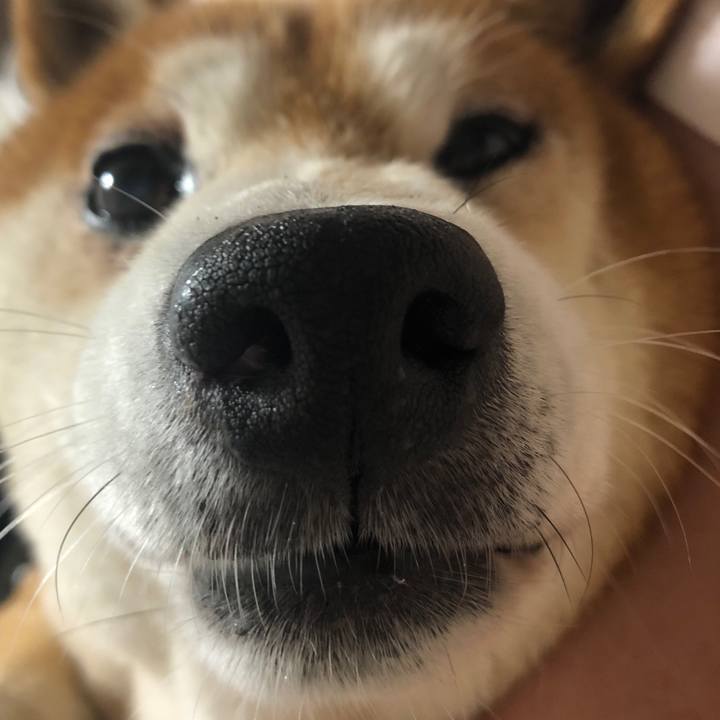 Aadda74f a811 478e 8bee d26346eca494 1566041391817