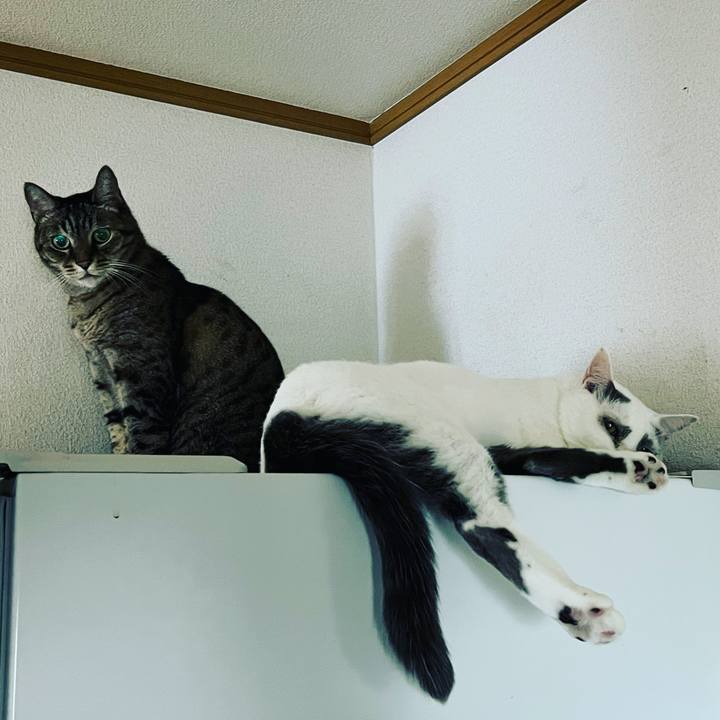 Aaddaee6 d4ea 40c7 b3bf f6e18c4de3b1 1660408380656