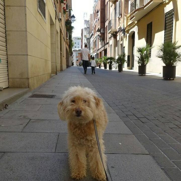 Aaddf41b 8642 435c 8850 bcc483b4ef07 1587913971806