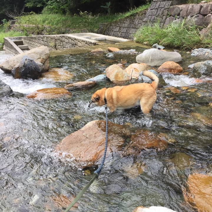 Aaddfab4 3dd3 4670 81cc 0a73cbf6f4ca 1537695751920