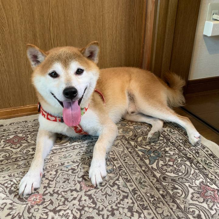 Aadee52a 6425 4600 b917 dbc9b79a3ace 1630060753695