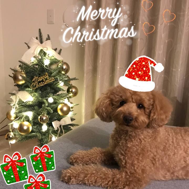 Aadef0aa 2ce5 446d 997b b76e61a00b1c 1545745529145