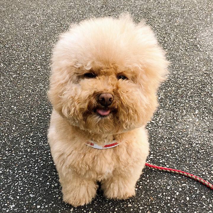 Aadf197d ffdf 468f bff0 4ad00c11ee80 1518404547044