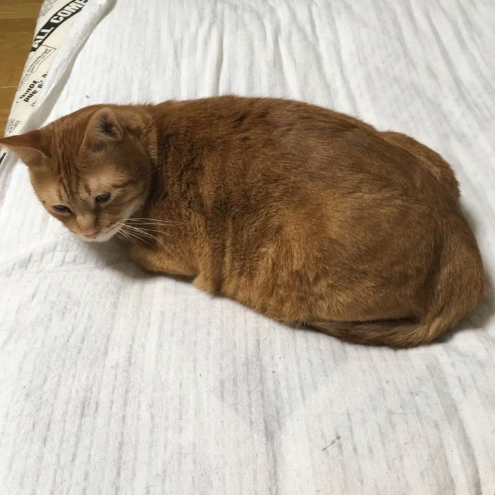 Aadf5570 2c05 44a9 b90a ed410346c21f 1552077543066